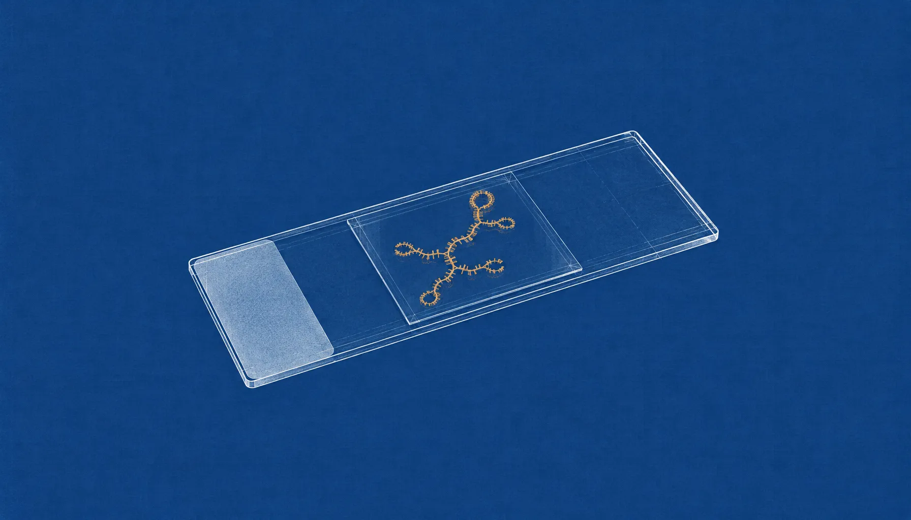 Illumina’s SpliceAI2 Finds 17% More Rare-Disease Variants