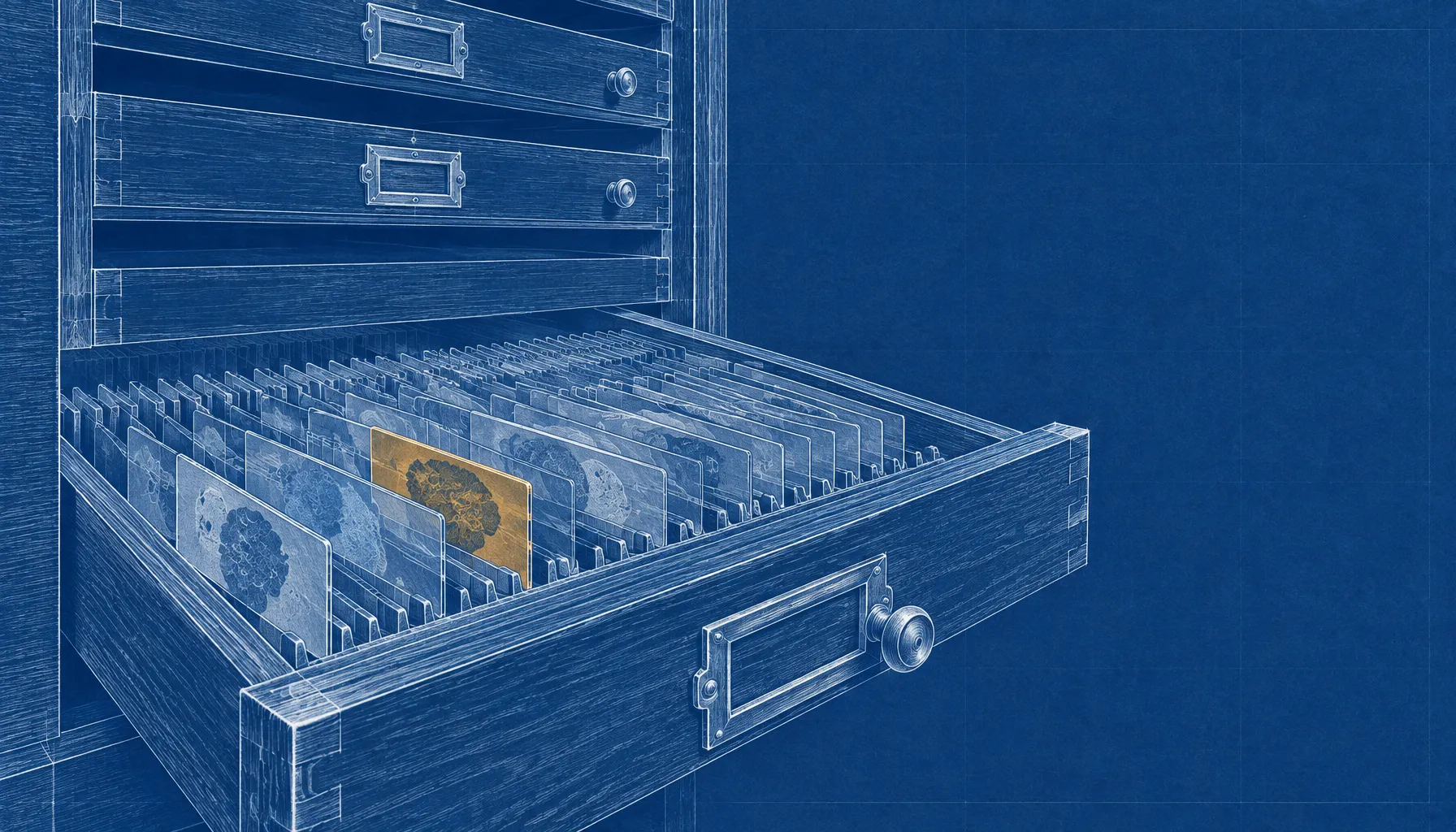 Tempus Pays $12 Million for Recursion’s TxFM RNA Model