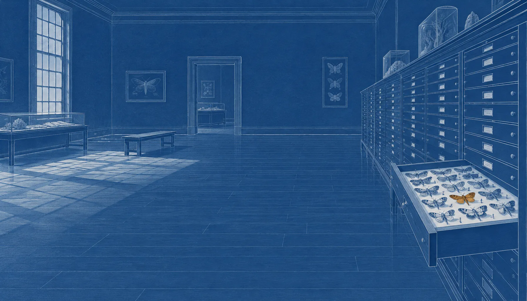 Goodfire’s Nick Cammarata Recasts Superposition as Generalization