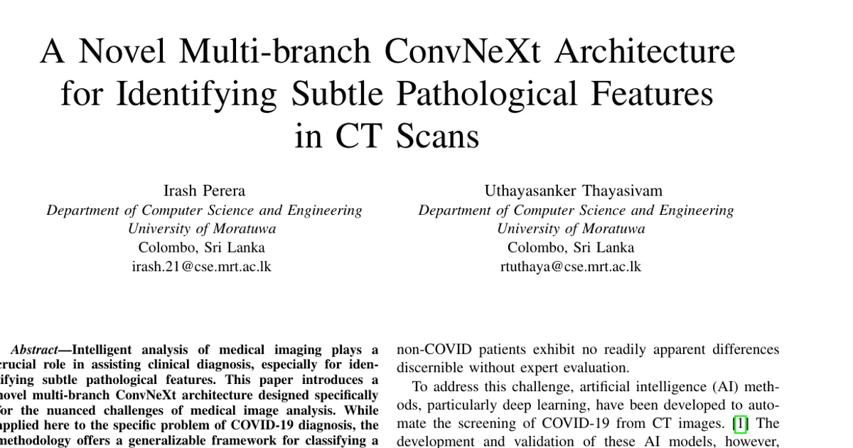 A Novel Multi-branch ConvNeXt Architecture for Identifying Subtle Pathological Features in CT Scans