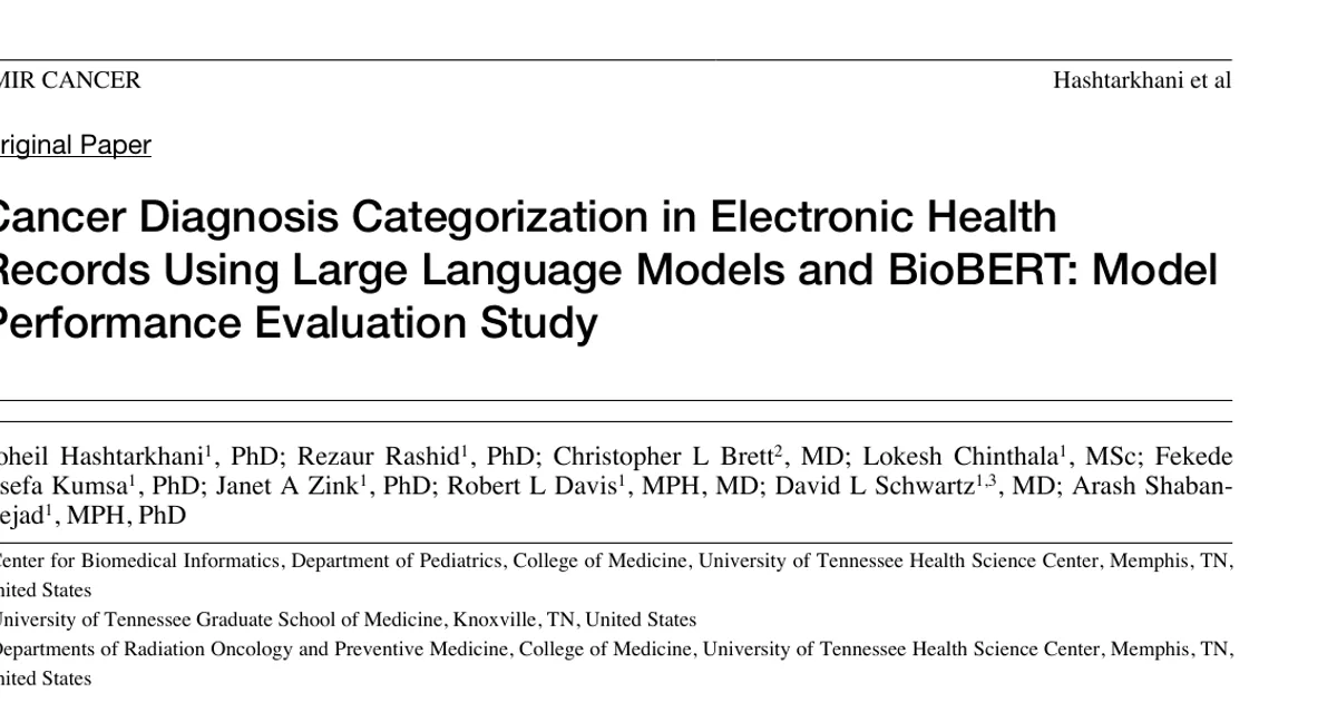 Cancer Diagnosis Categorization in Electronic Health Records Using Large Language Models and BioBERT: Model Performance Evaluation Study