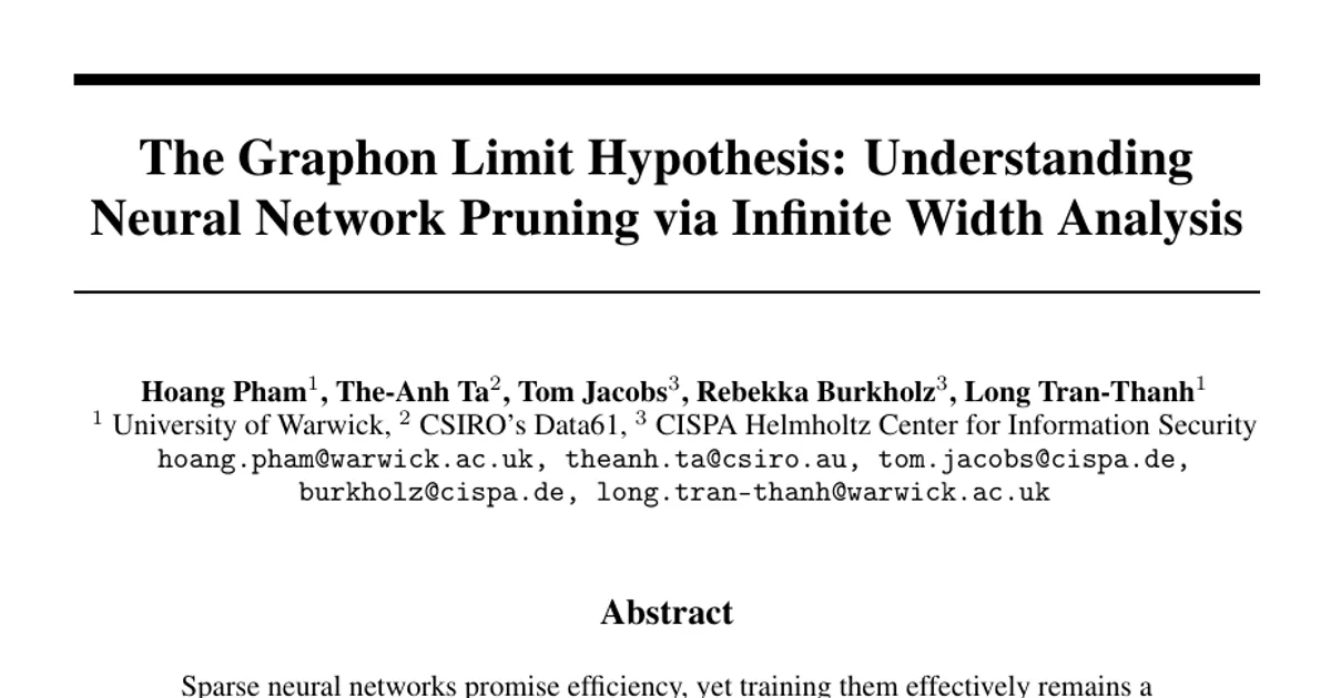 The Graphon Limit Hypothesis: Understanding Neural Network Pruning via Infinite Width Analysis