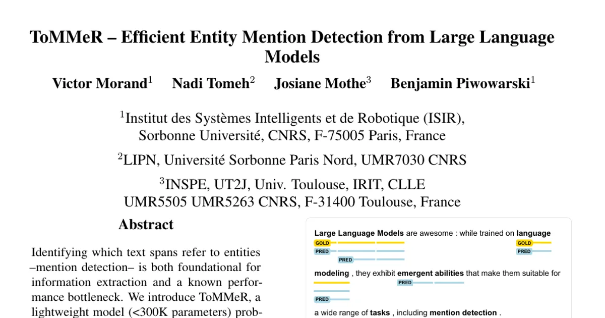 ToMMeR -- Efficient Entity Mention Detection from Large Language Models