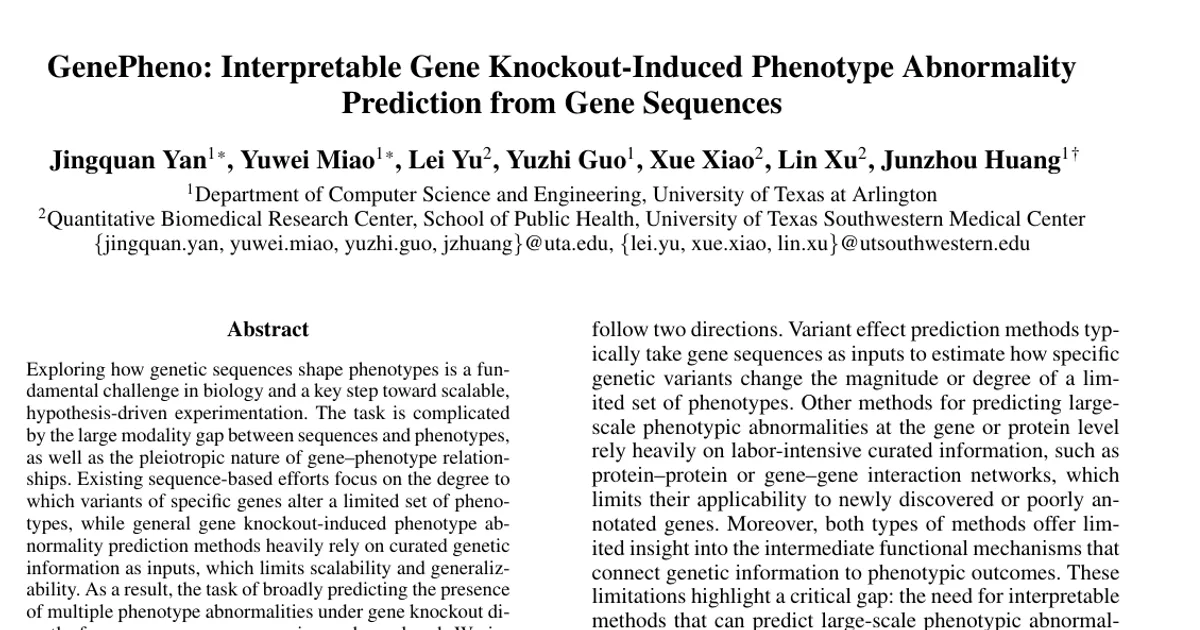 GenePheno: Interpretable Gene Knockout-Induced Phenotype Abnormality Prediction from Gene Sequences