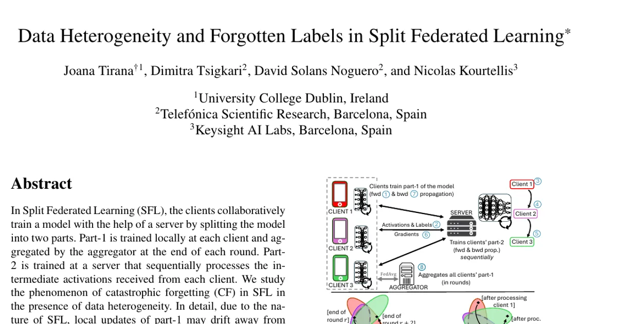 Data Heterogeneity and Forgotten Labels in Split Federated Learning