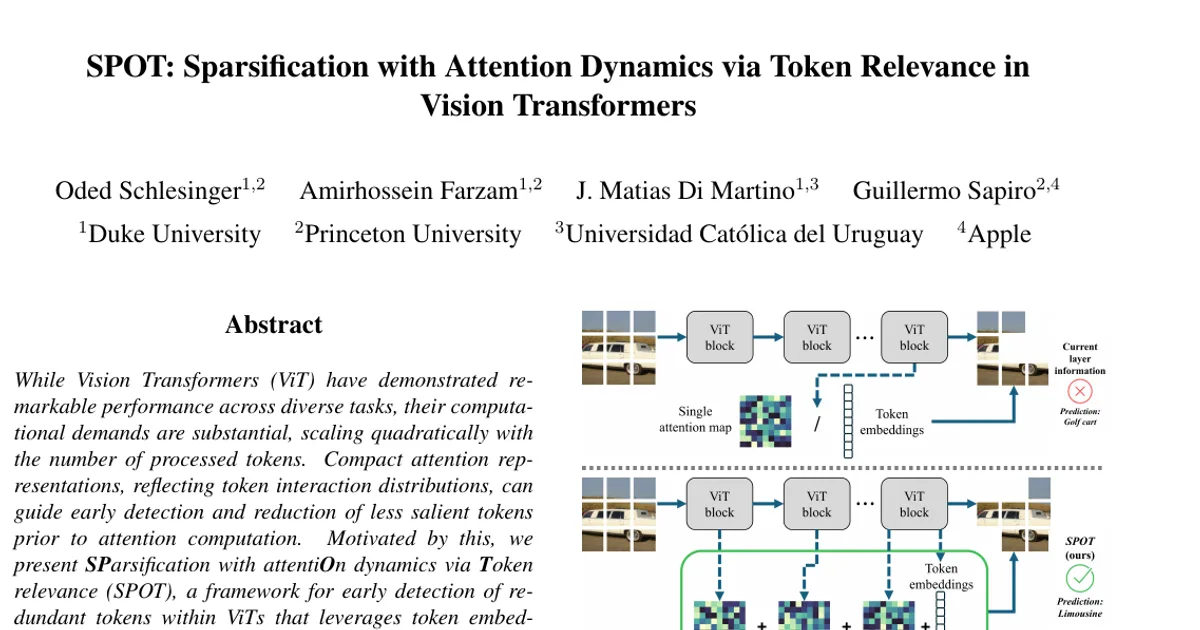 SPOT: Sparsification with Attention Dynamics via Token Relevance in Vision Transformers