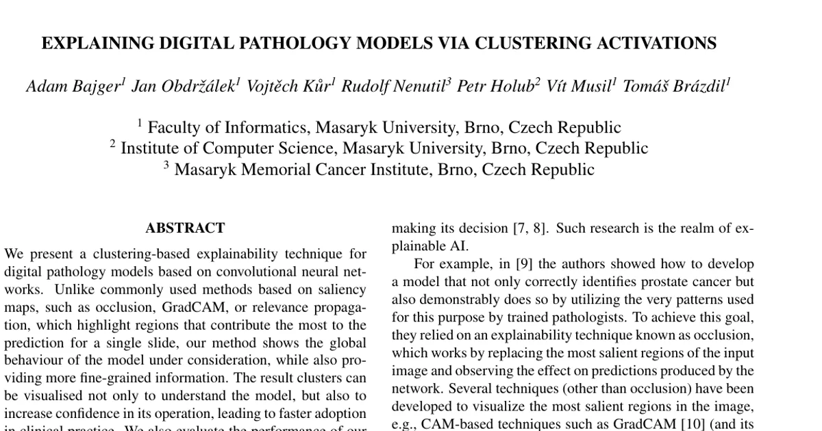 Explaining Digital Pathology Models via Clustering Activations