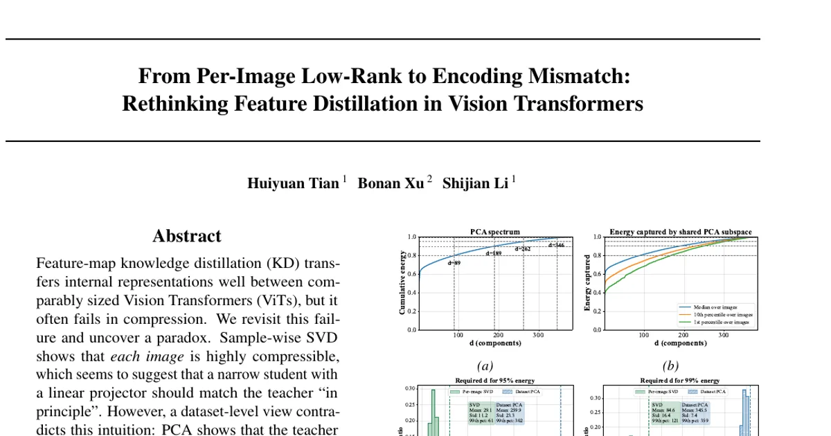 From Per-Image Low-Rank to Encoding Mismatch: Rethinking Feature Distillation in Vision Transformers