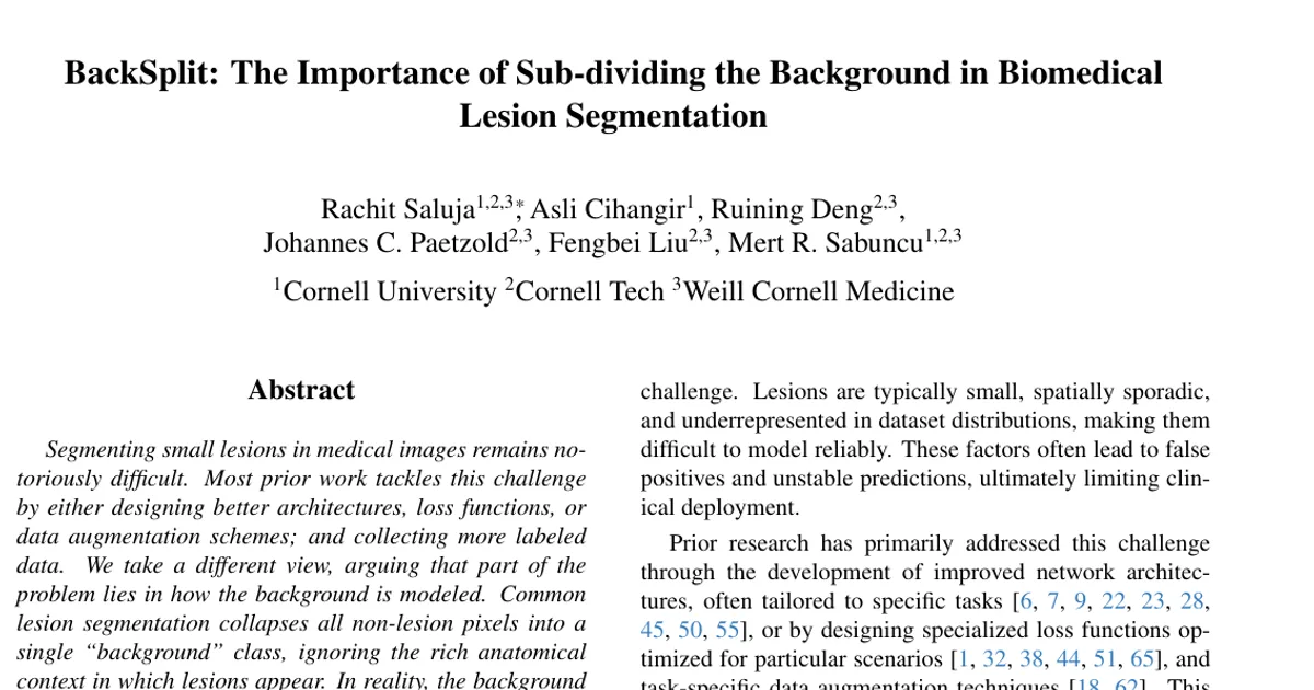 BackSplit: The Importance of Sub-dividing the Background in Biomedical Lesion Segmentation