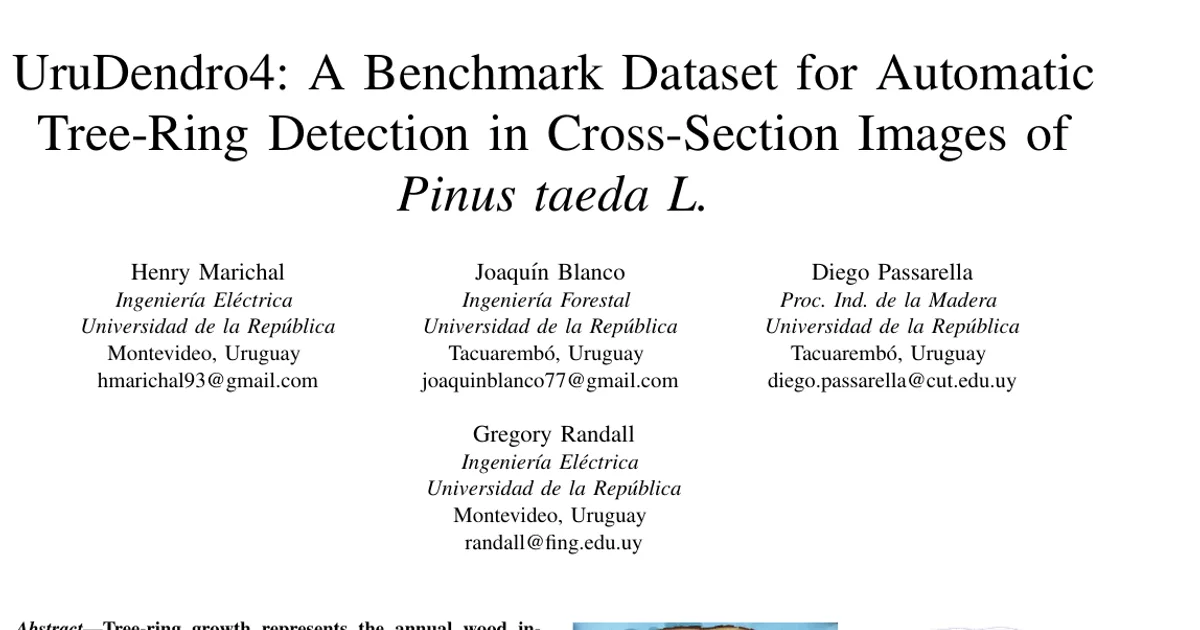 UruDendro4: A Benchmark Dataset for Automatic Tree-Ring Detection in Cross-Section Images of Pinus taeda L