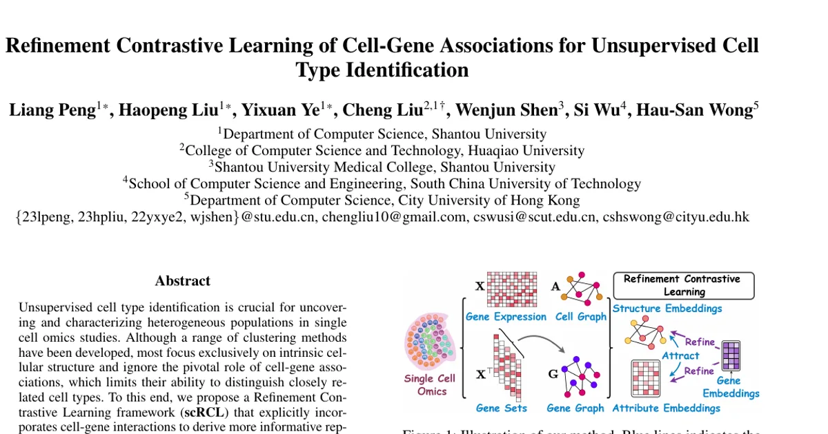 Refinement Contrastive Learning of Cell-Gene Associations for Unsupervised Cell Type Identification