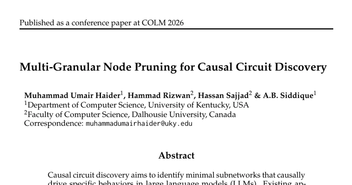 Multi-Granular Node Pruning for Causal Circuit Discovery
