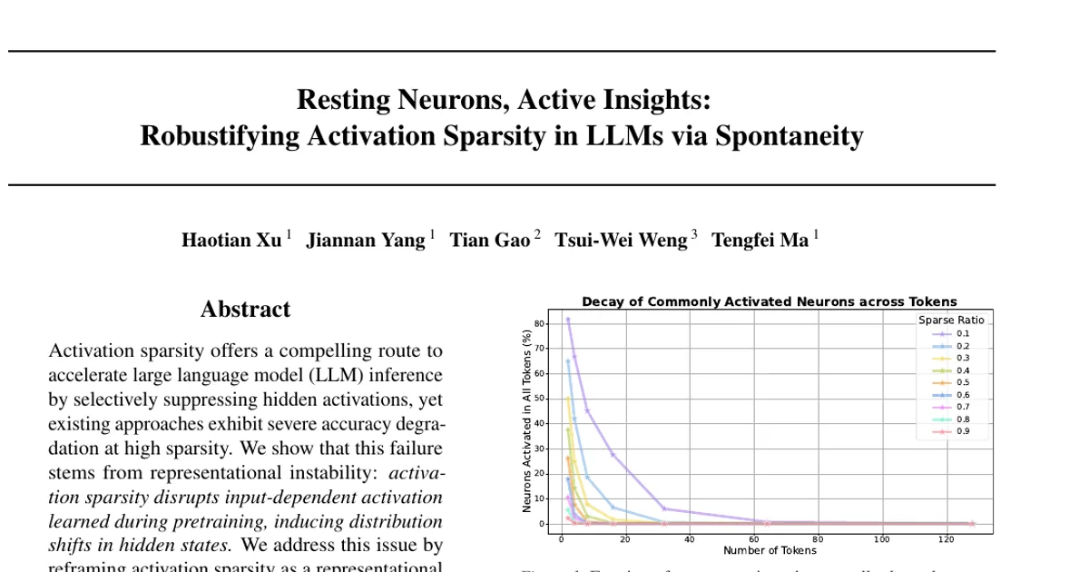 Resting Neurons, Active Insights: Robustifying Activation Sparsity in LLMs via Spontaneity