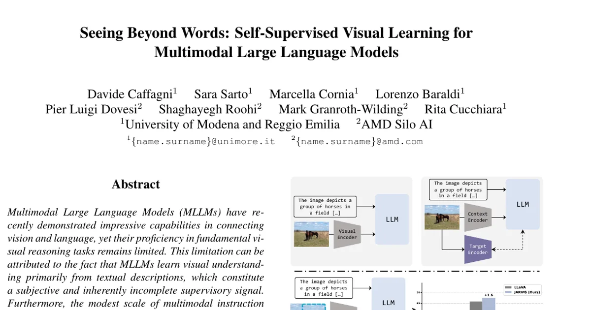 Seeing Beyond Words: Self-Supervised Visual Learning for Multimodal Large Language Models