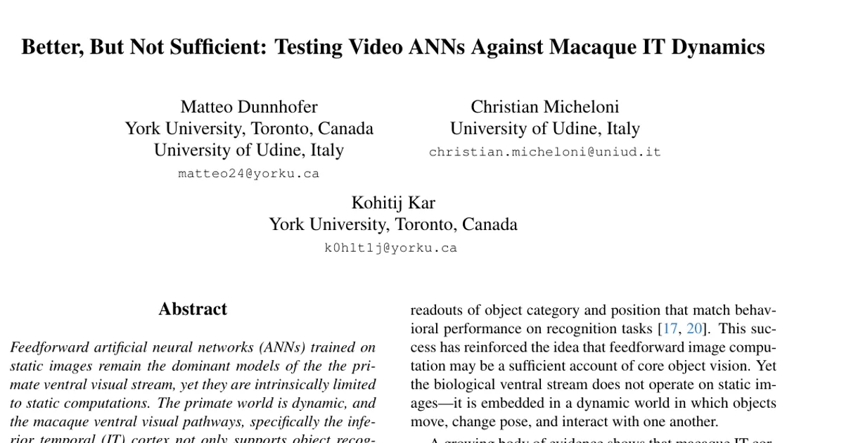 Better, But Not Sufficient: Testing Video ANNs Against Macaque IT Dynamics