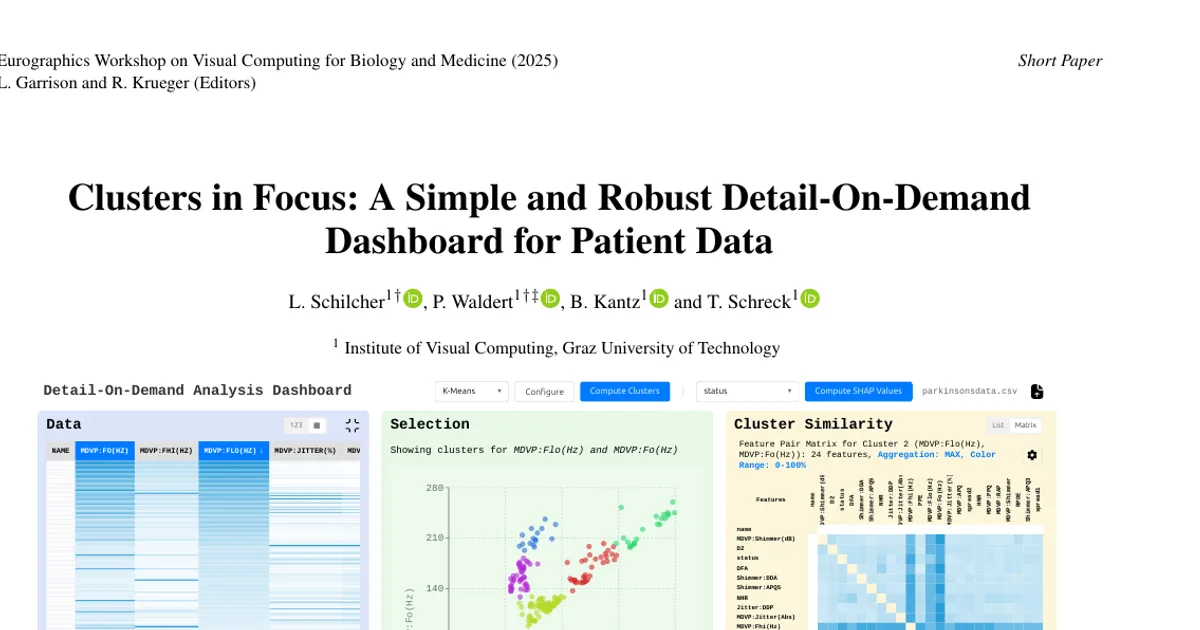 Clusters in Focus: A Simple and Robust Detail-On-Demand Dashboard for Patient Data