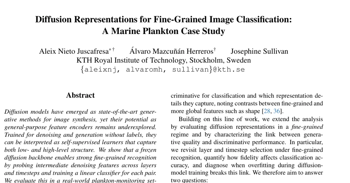 Diffusion Representations for Fine-Grained Image Classification: A Marine Plankton Case Study