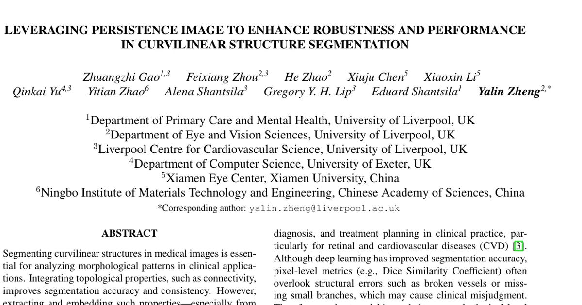 Leveraging Persistence Image to Enhance Robustness and Performance in Curvilinear Structure Segmentation