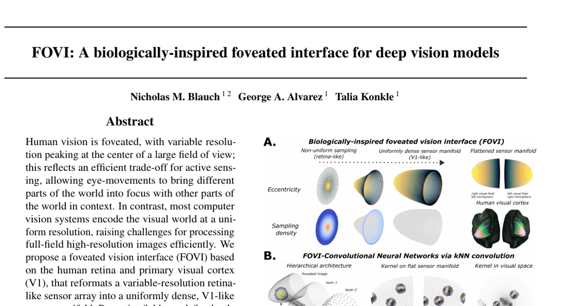 FOVI: A biologically-inspired foveated interface for deep vision models