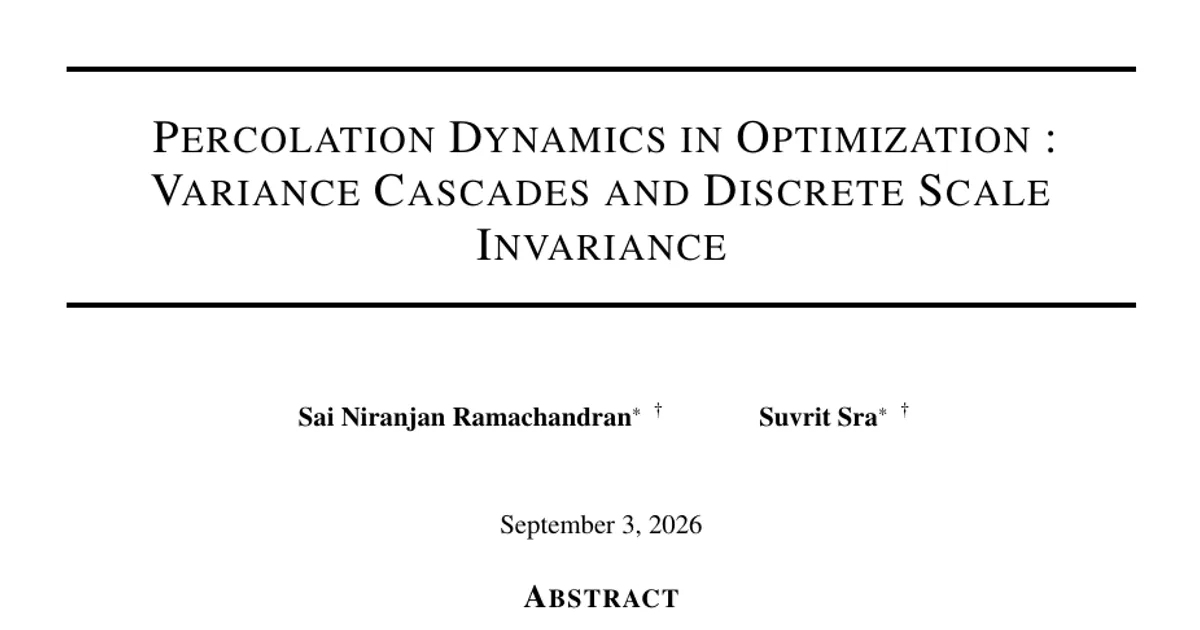 Percolation Dynamics in Optimization : Variance Cascades and Discrete Scale Invariance