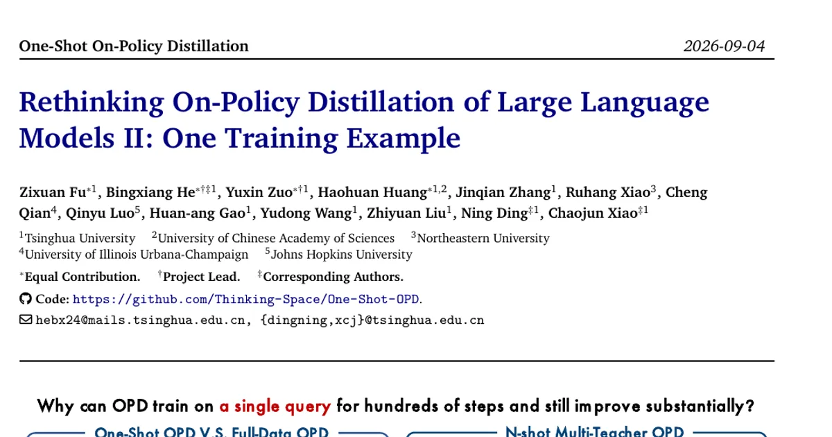 Ripensare la distillazione on-policy dei modelli linguistici di grandi dimensioni II: un solo esempio di addestramento