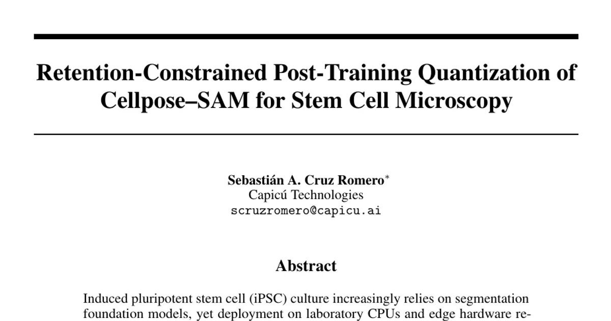 Quantizzazione post-training di Cellpose-SAM con vincoli di mantenimento delle prestazioni per la microscopia delle cellule staminali