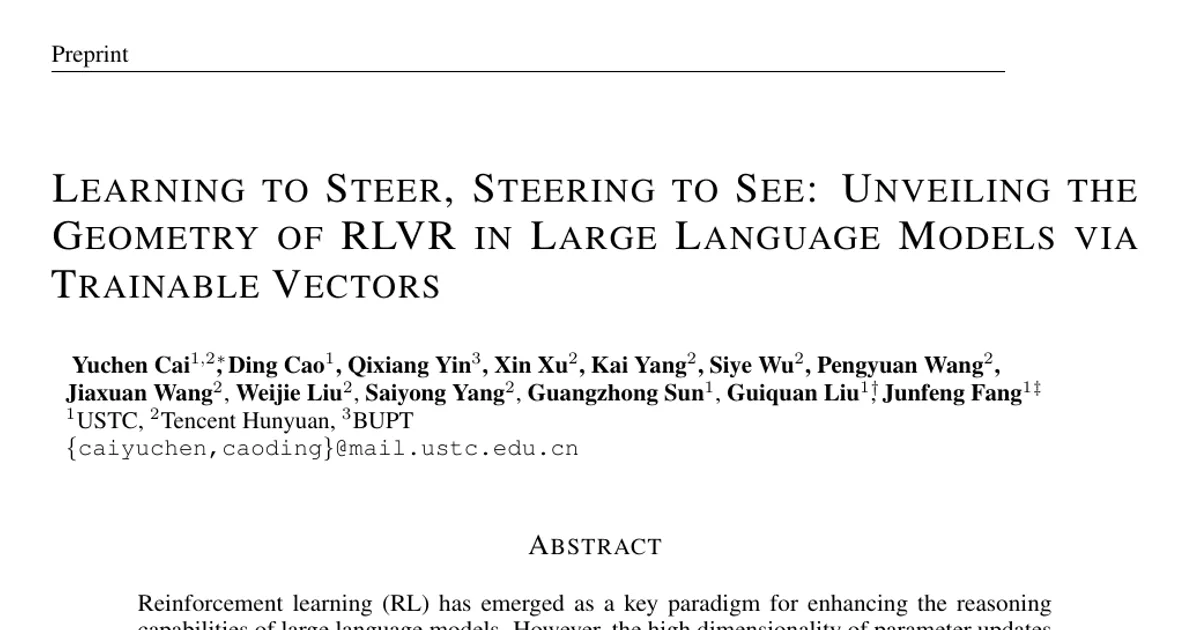 Learning to Steer, Steering to See: Unveiling the Geometry of RLVR in Large Language Models via Trainable Vectors