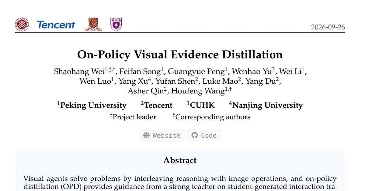 On-Policy Visual Evidence Distillation