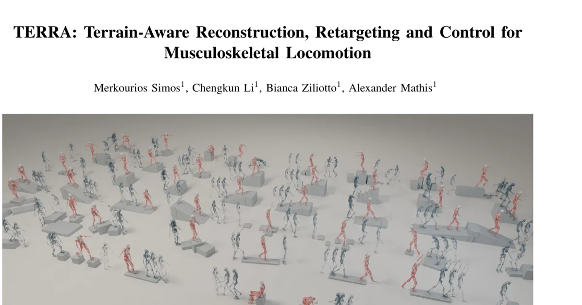 TERRA: Terrain-Aware Reconstruction, Retargeting and Control for Musculoskeletal Locomotion