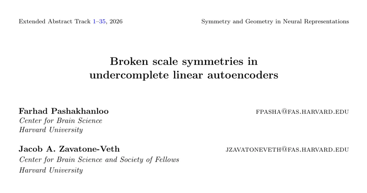 Broken scale symmetries in undercomplete linear autoencoders