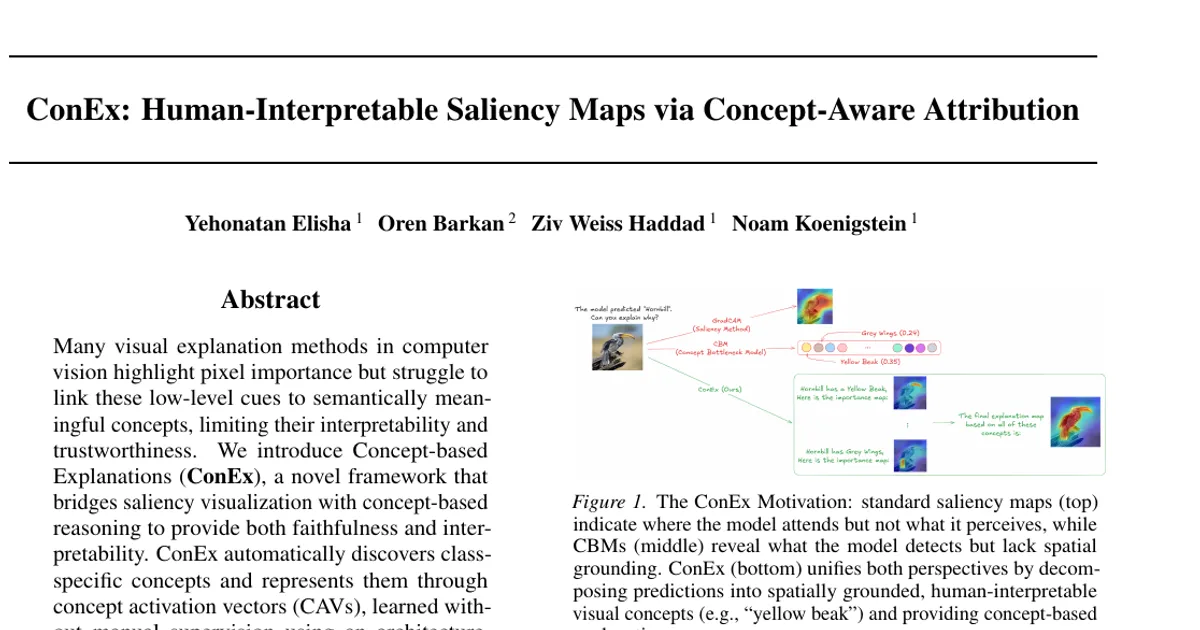 ConEx: Human-Interpretable Saliency Maps via Concept-Aware Attribution