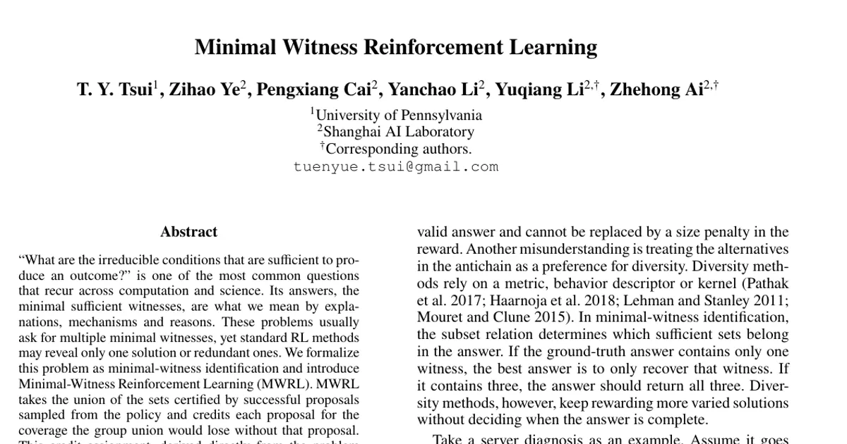 Minimal Witness Reinforcement Learning