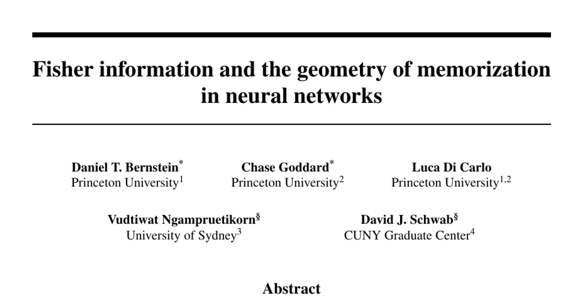 Fisher information and the geometry of memorization in neural networks