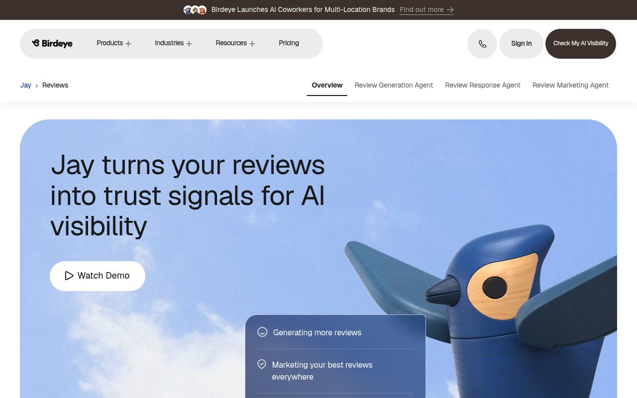 Birdeye Reviews