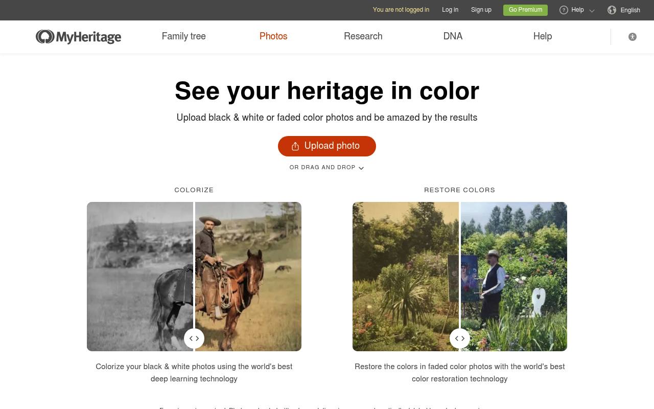MyHeritage In Color