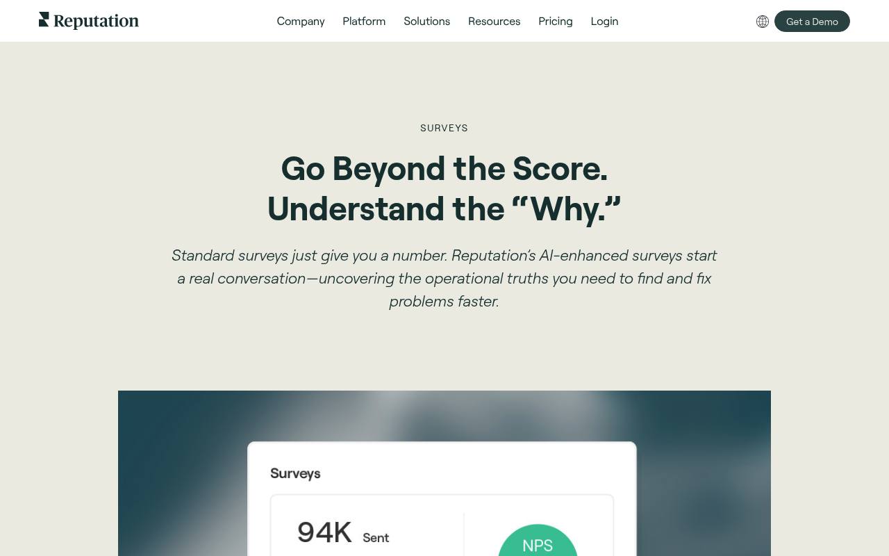 Reputation Surveys